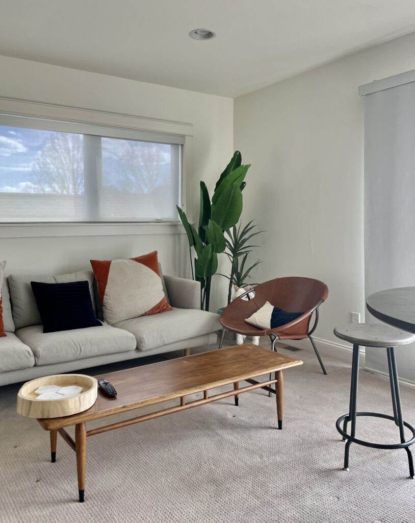 单身公寓的客厅是用本杰明·摩尔云白漆粉刷的。