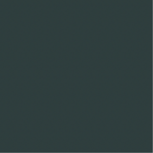 本杰明摩尔蝾螈油漆颜色评论