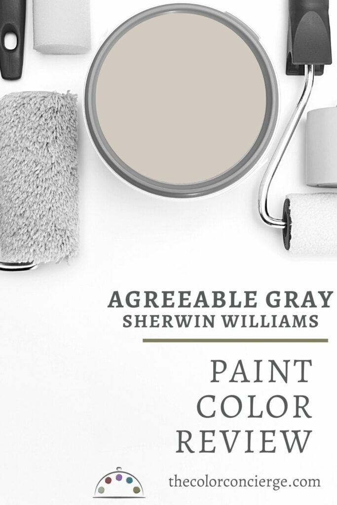 宜人的灰色油漆颜色审查