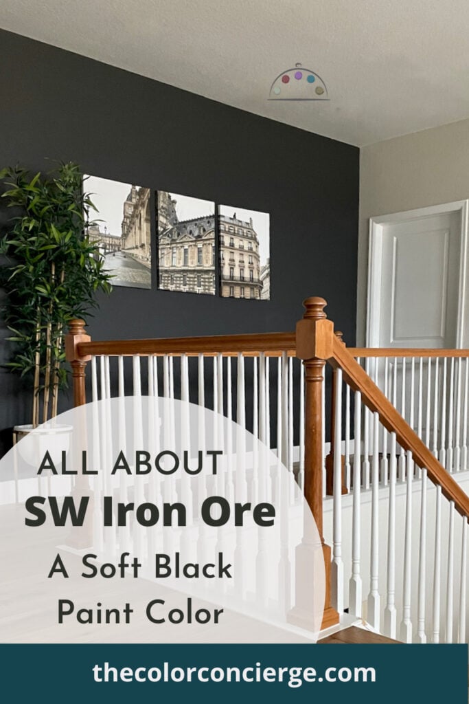 SW铁矿石油漆颜色审查——一个柔软的黑色。