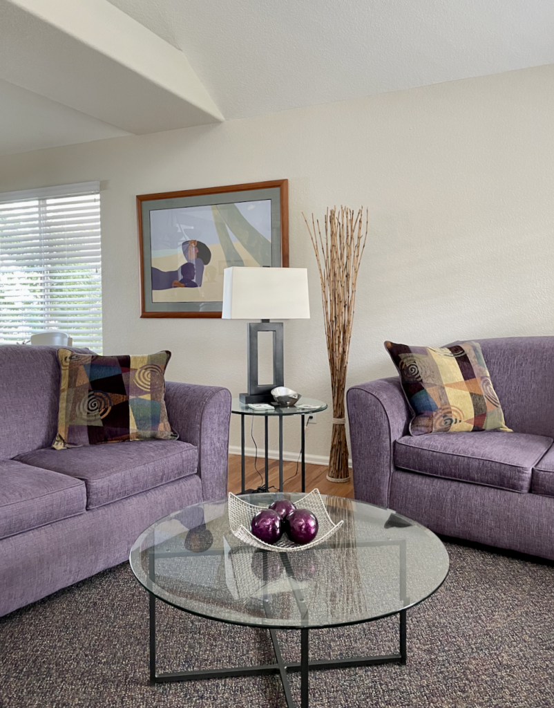 灰色雾客厅的紫色沙发作为整个房子油漆配色方案的一部分